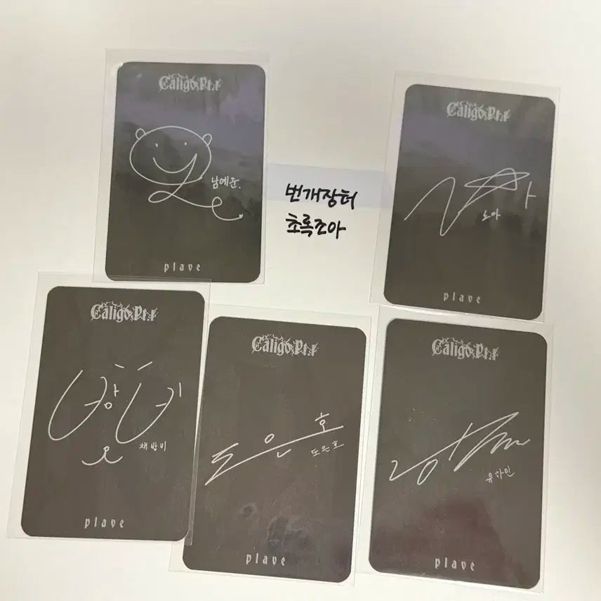 플레이브 칼리고 케타포 럭드 5인 드볼  앨범X