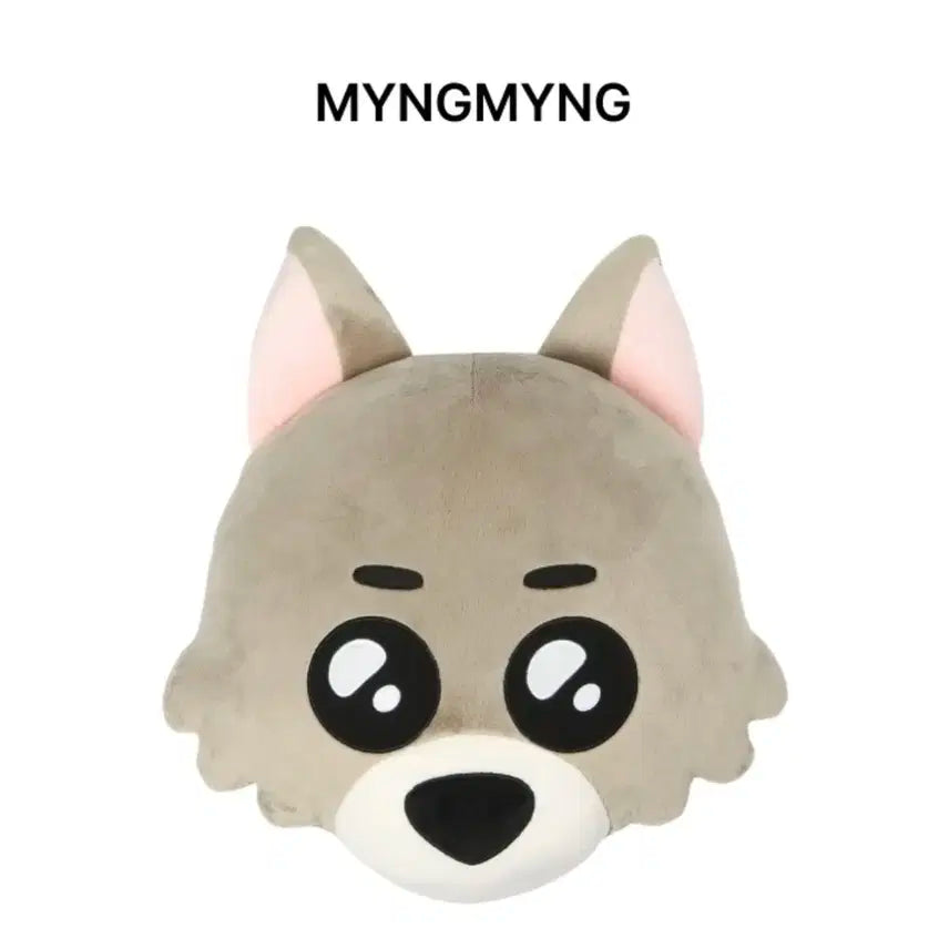 보넥도 보이넥스트도어 쁘넥도 쿠션 명명이 명재현