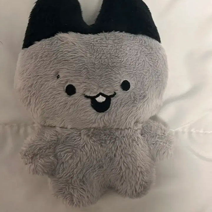 더보이즈 주연 쭈톨이