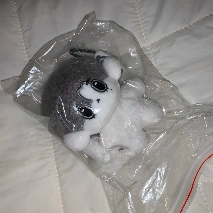 보이넥스트도어 이한 수상한 옆집 토한이 미개봉