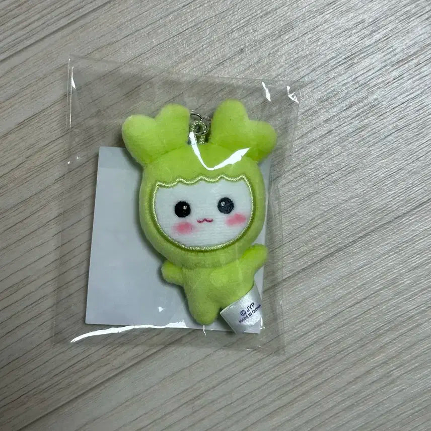 트와이스 10주년 인형 정부리 미개봉