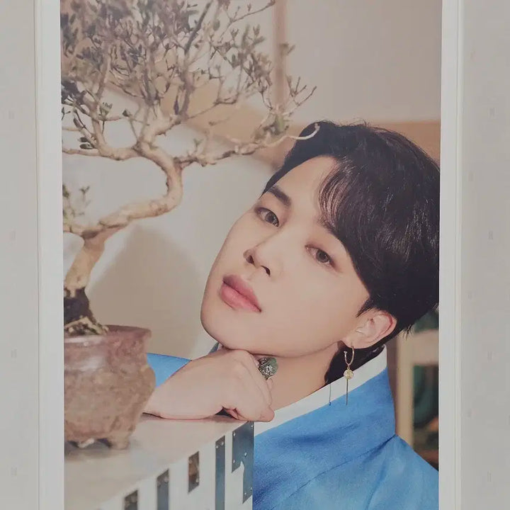 BTS 방탄 지민 달마중 플립포토 프포