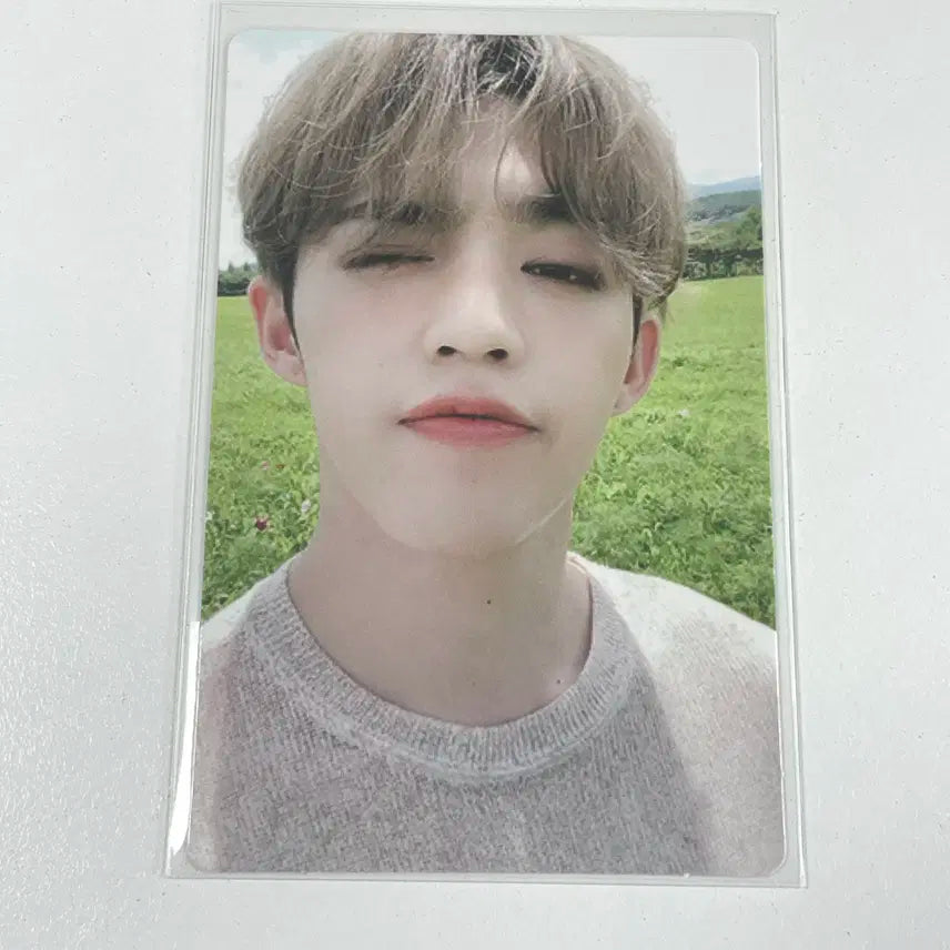 세븐틴 에스쿱스 An Ode 독 HOPE버전 포카 포토카드