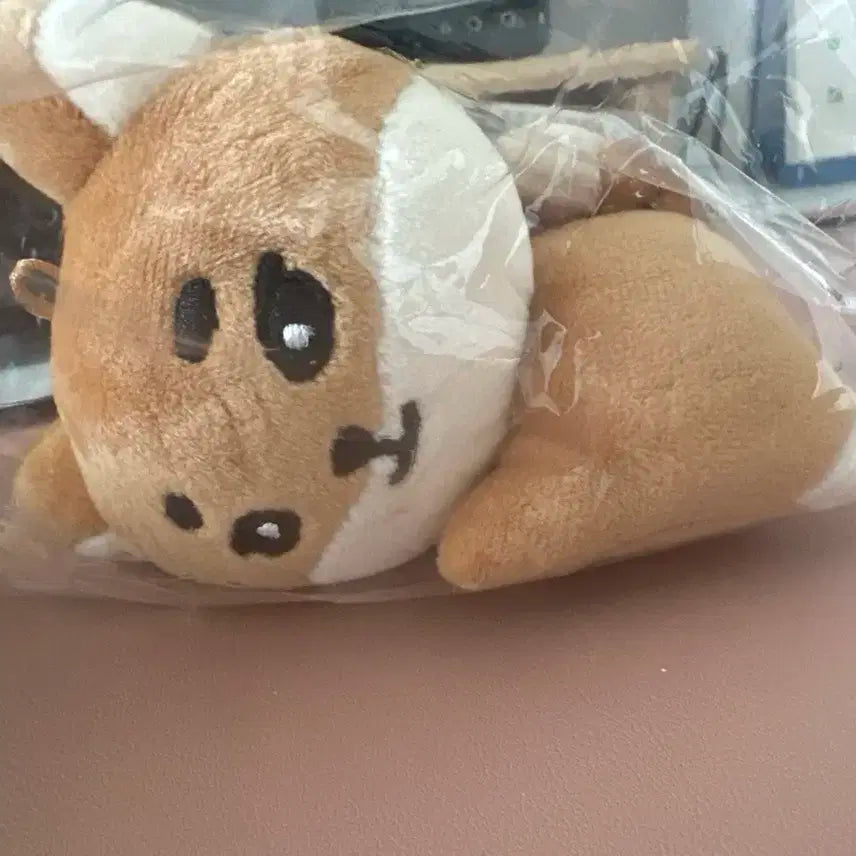 데이식스 데니멀즈 손난로 인형 케