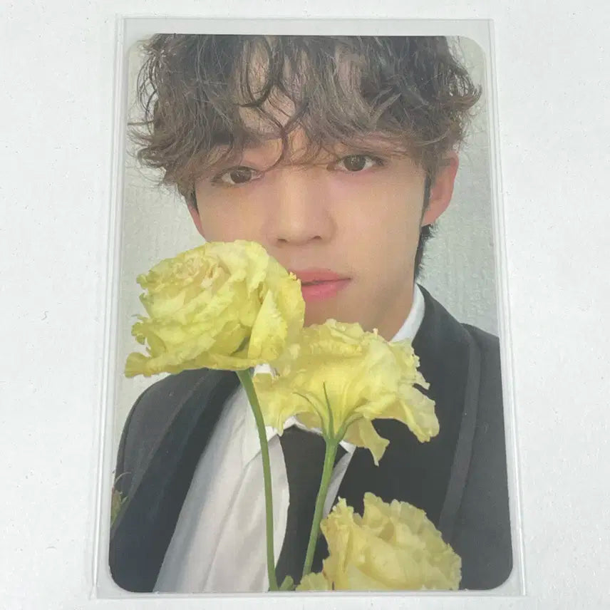 세븐틴 에스쿱스 FML 손오공 캐럿반 포카 포토카드