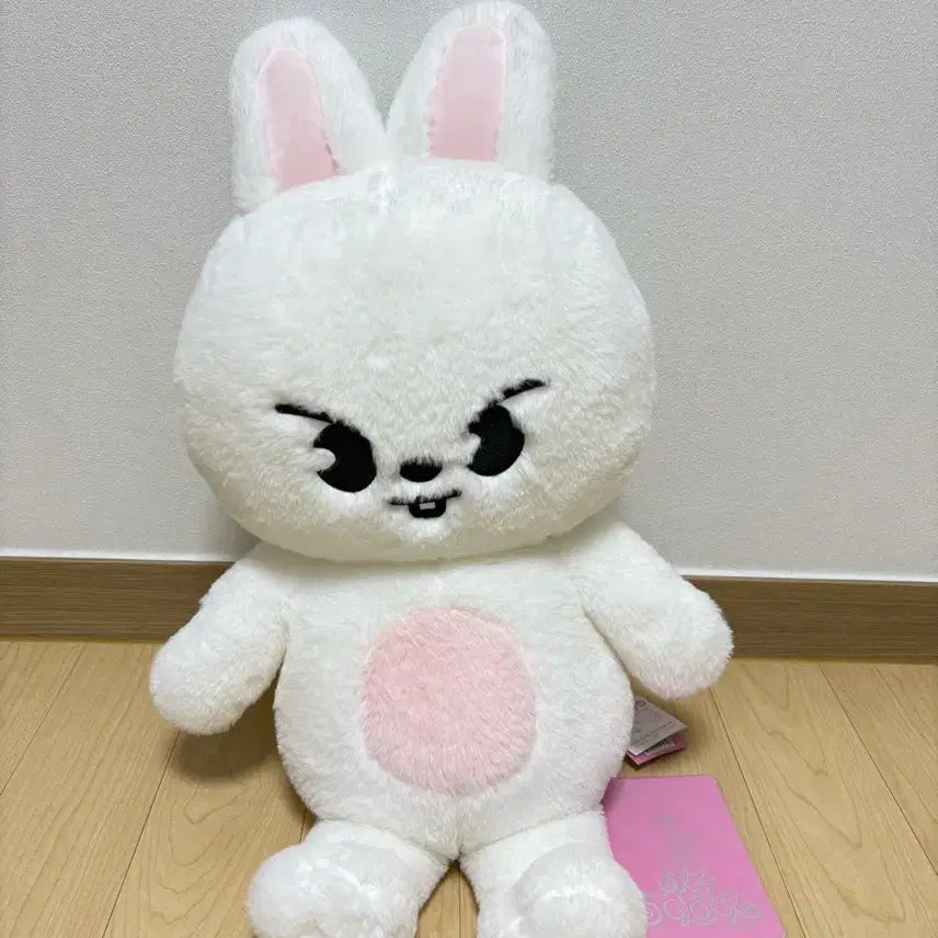 스키주 리빗 테디베어