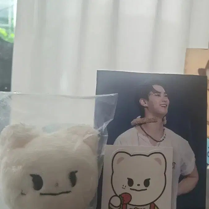 네모빈(아스트로 문빈인형)