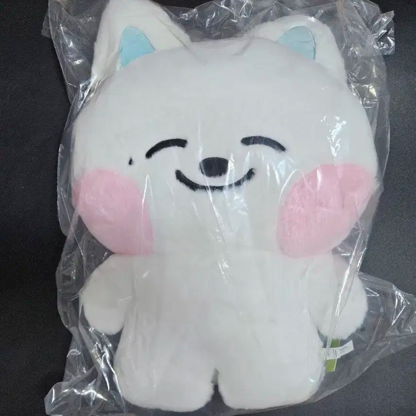 NCT DREAM DREAMIES 엔시티드림 드리미즈 쪠드 쿠션