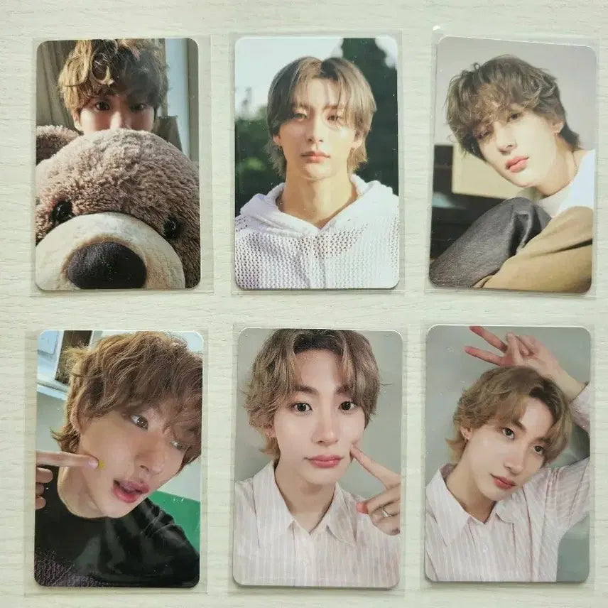 라이즈 앤톤 포카 일괄