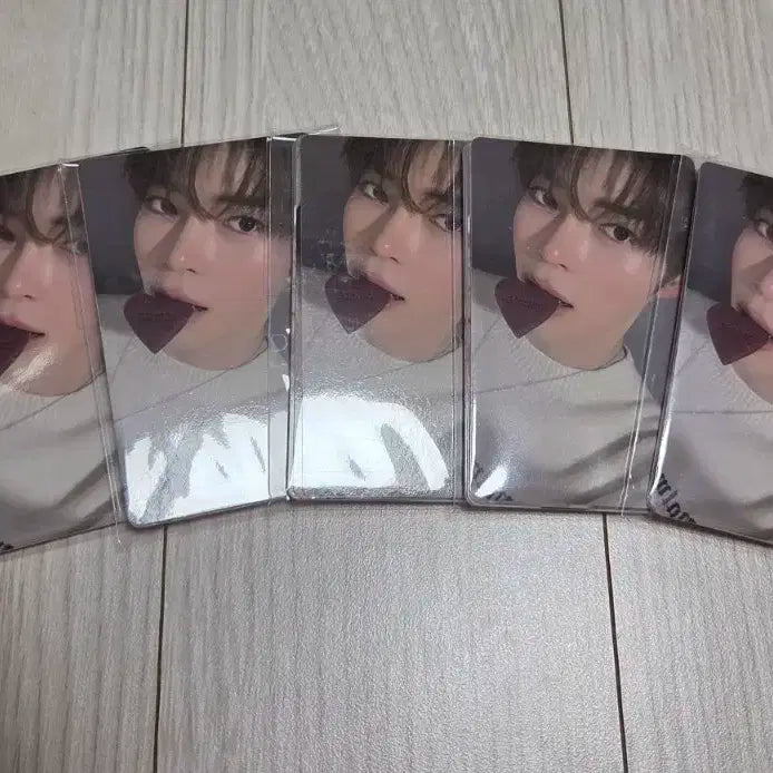 제로베이스원 제베원 한정판 로즈데이 미개봉 포카 일괄 판매 양도