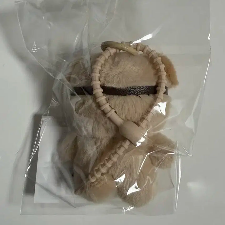 미개봉) 데이식스 태닝멀즈 태닝돈