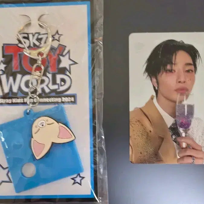 스트레이키즈 스키주 토이월드 키링 아이엔 포카