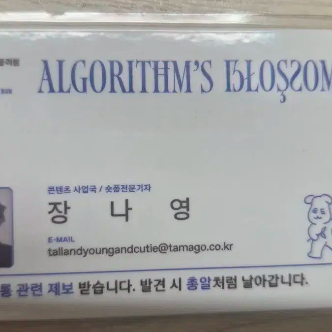 QWER 알고리즘스 블러썸 장나영 사원증