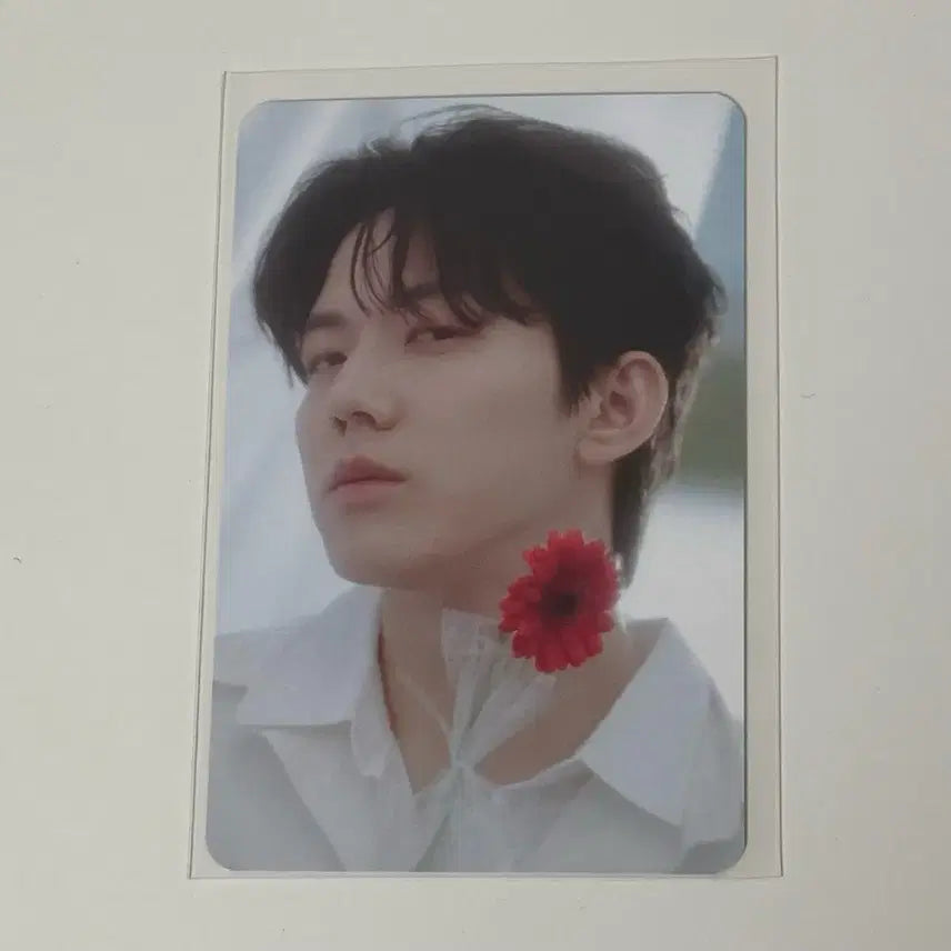 데이식스 도운 트레카 포카