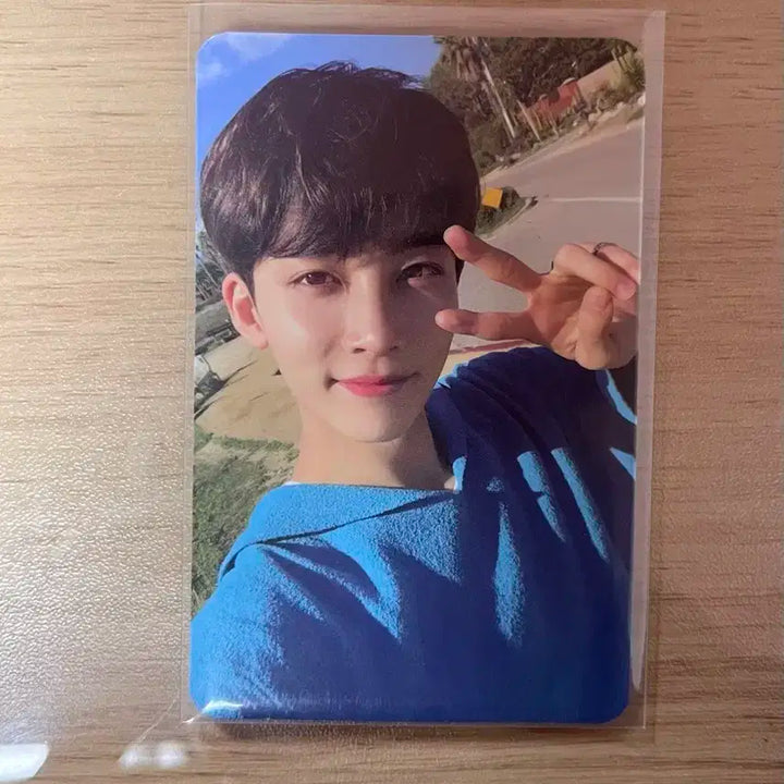 헹가래 둘 정한 포카 양도