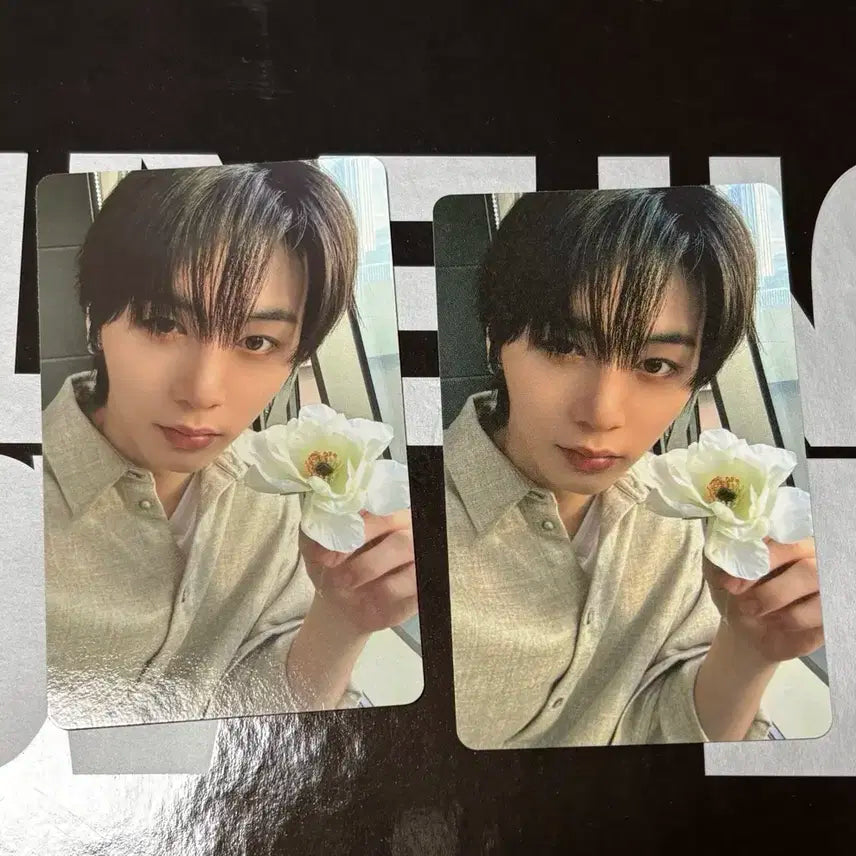 보이넥스도어 보넥도 디액션 위버스특전 태산 포카 양도