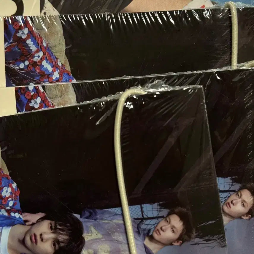 코르티스 미개봉 앨범 일괄