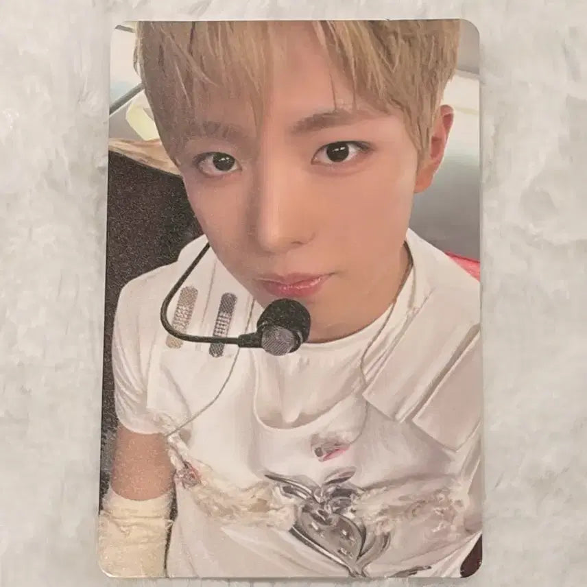 엔시티위시 nct wish 컬러 슴스 슴스토어 미공포 유우시 포카