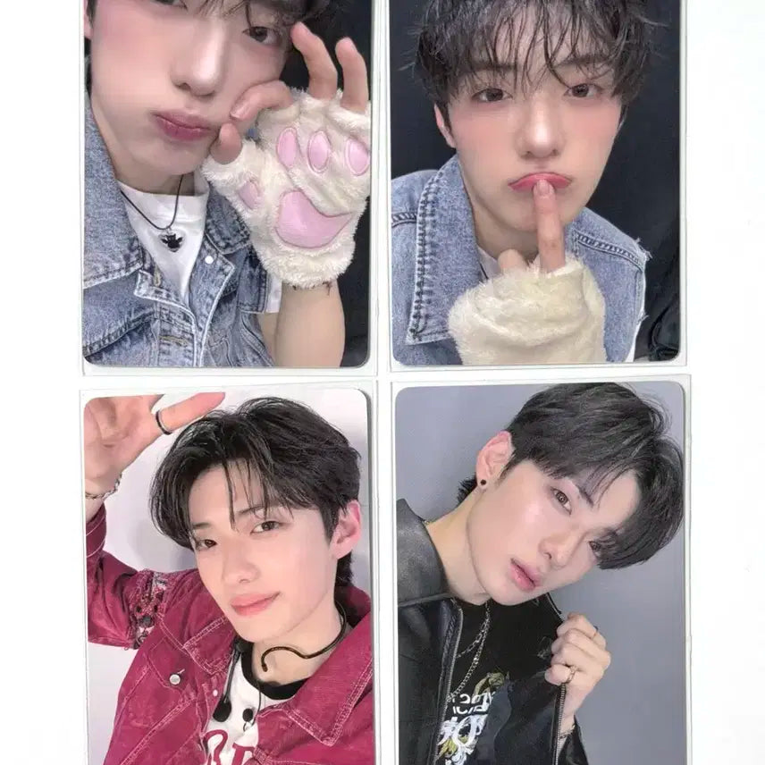 보플 상하이 1주차 포카 정상현 슈가하이 4장일괄