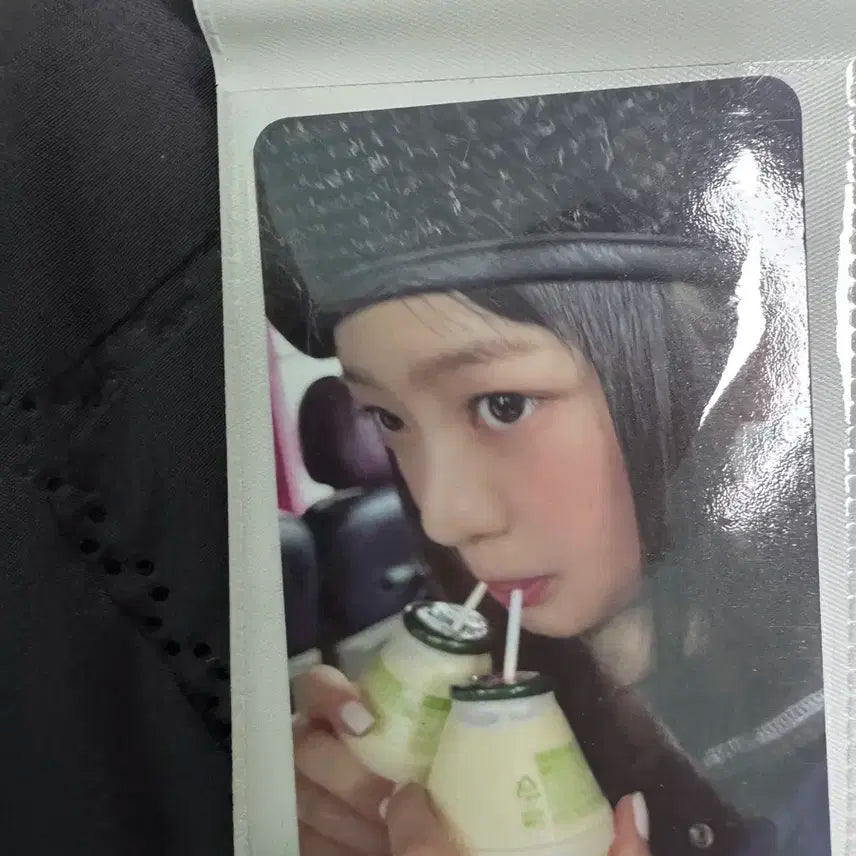 버니즈캠프 하니 포카