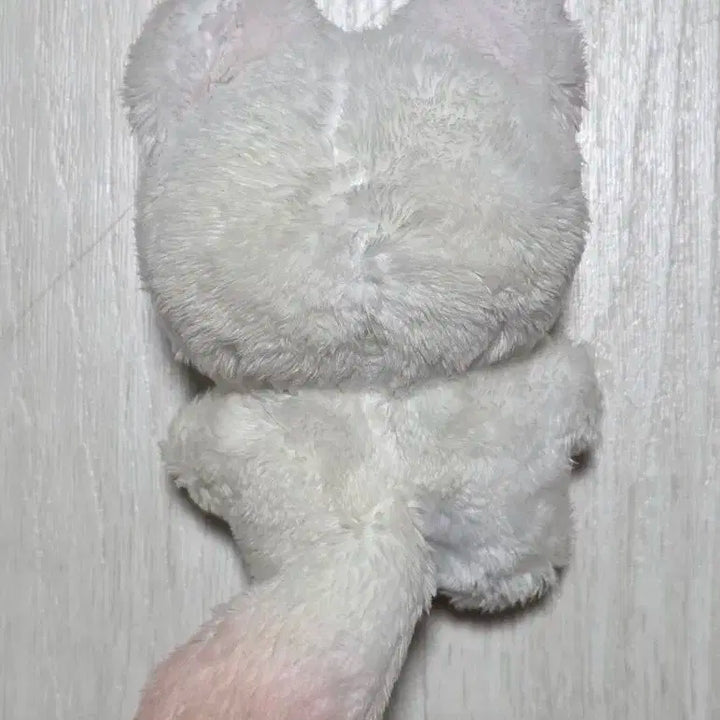 루시 신예찬 10cm 챤비 인형