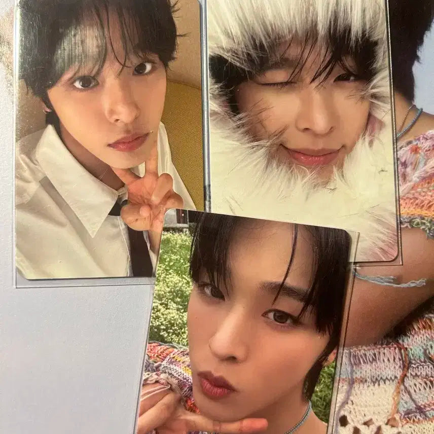 리쿠 포카 일괄 판매