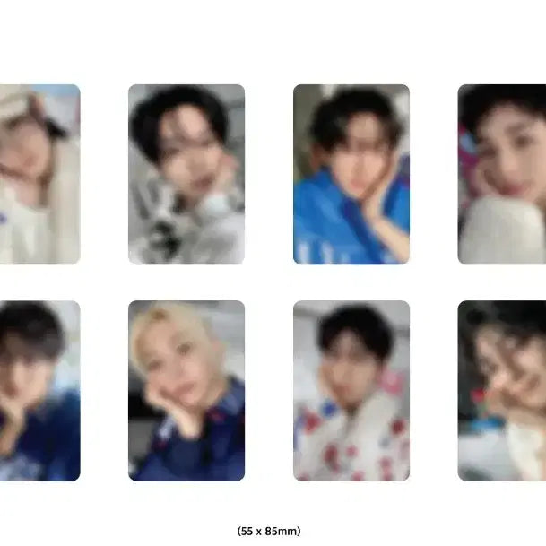 스트레이 키즈 시그 분철 예사 특전