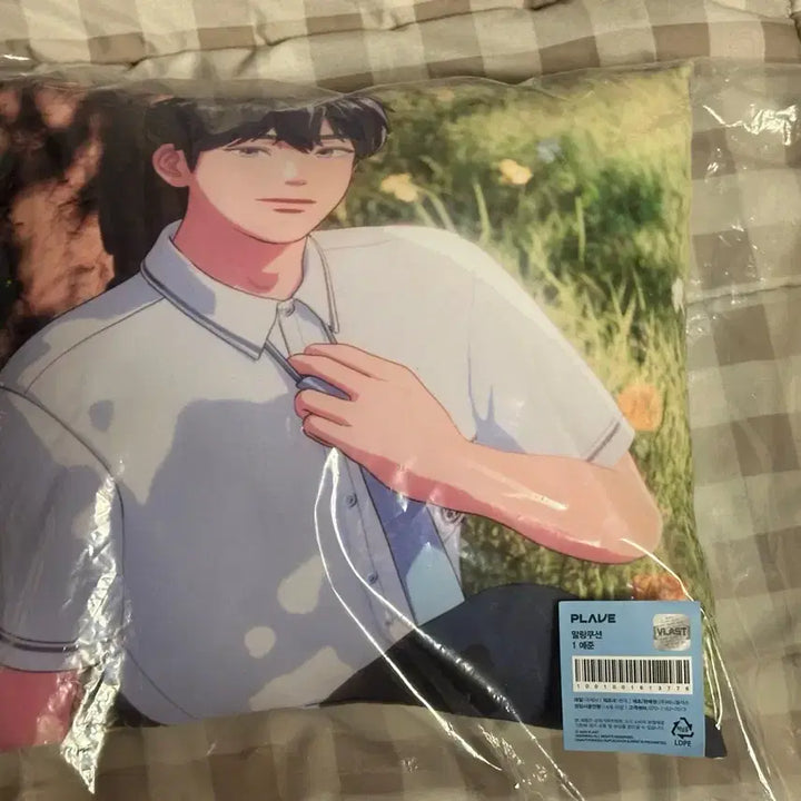 플레이브 육여름 여섯번째여름 애니플러스 예준 남예준 쿠션 미개봉