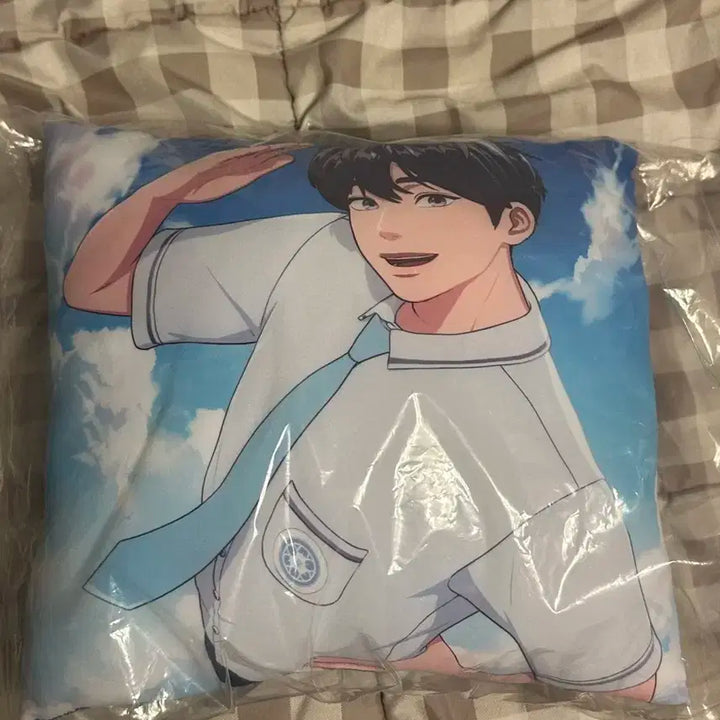 플레이브 육여름 여섯번째여름 애니플러스 예준 남예준 쿠션 미개봉