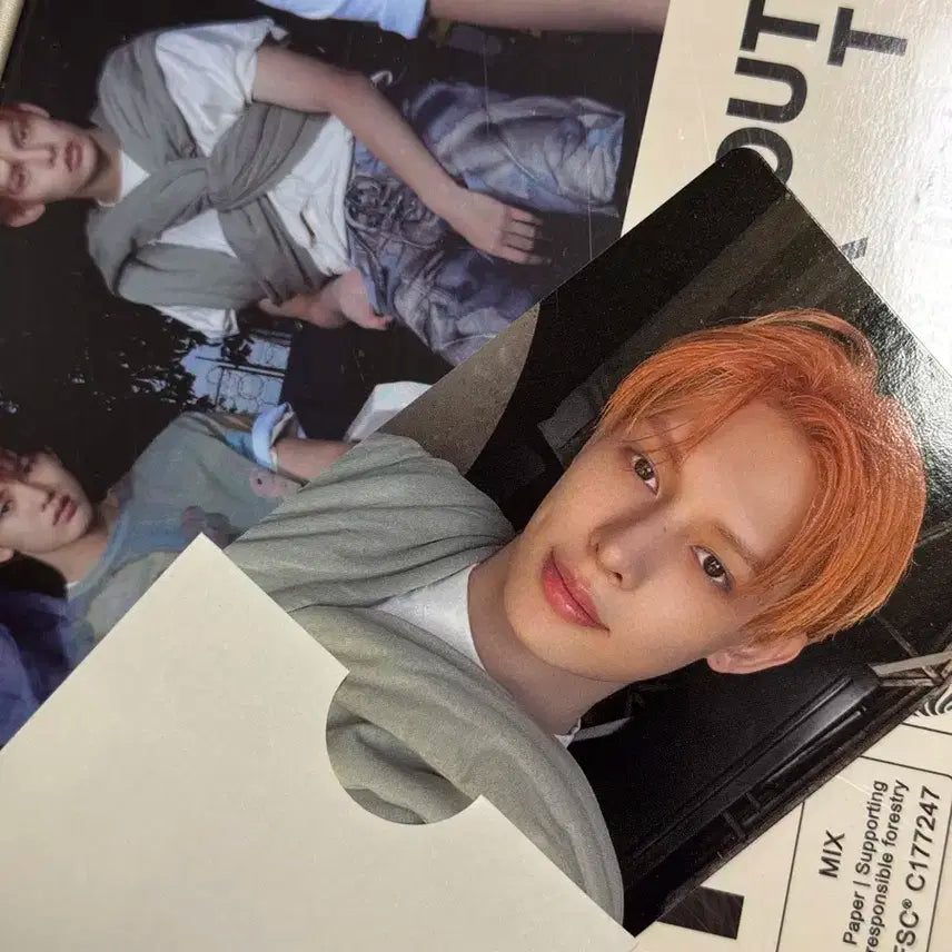 코르티스 개봉 앨범 제임스 포카