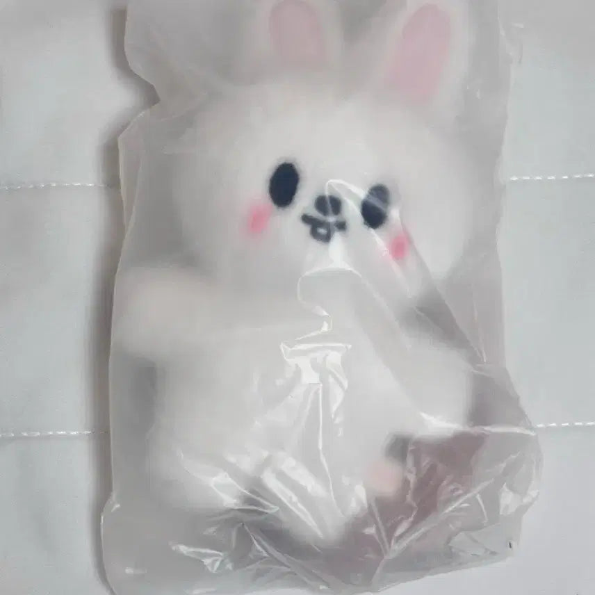 스키즈 스키주 리빗 스탠딩 엠디 굿즈 양도 판매