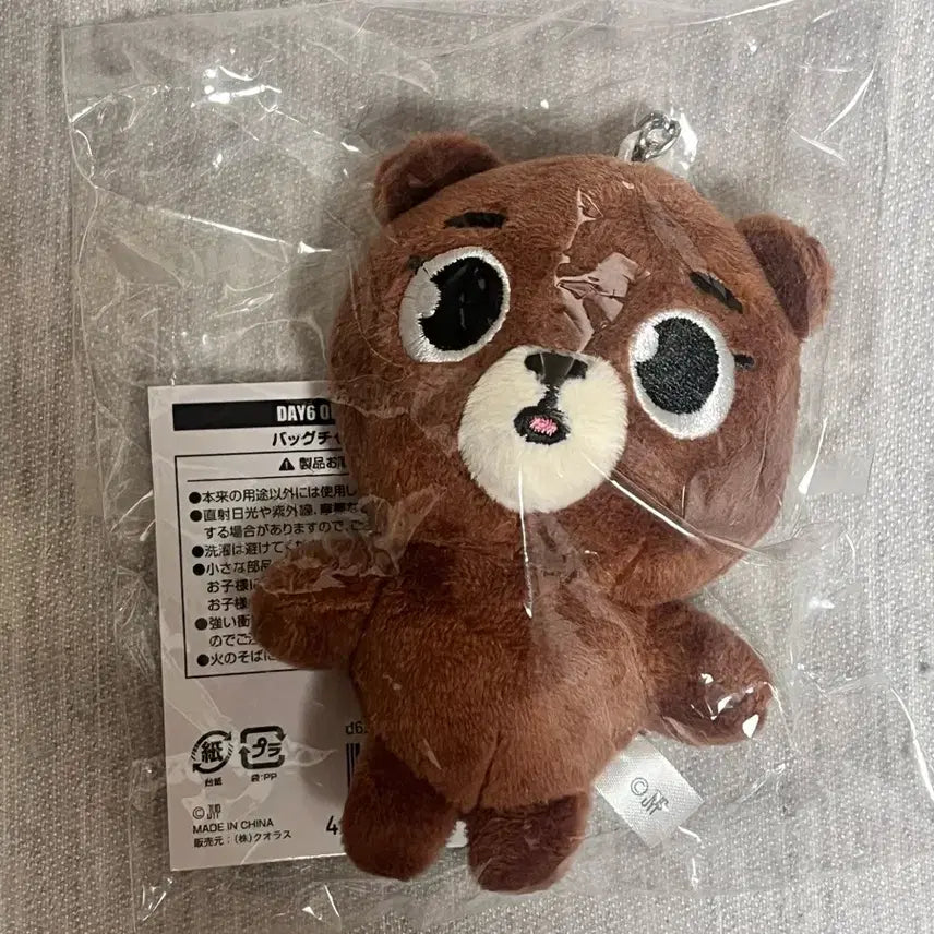 데이식스 데니멀즈 일본 MD 백참 성진 방이