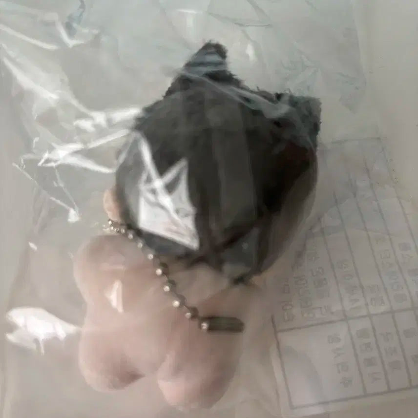 플레이브 묭하민 하민 인형 원가양도