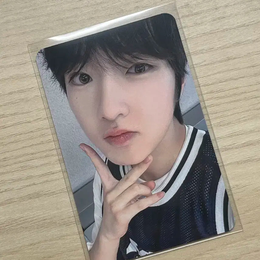 엔시티위시 사쿠야 송버드 디마뮤 덩크슛