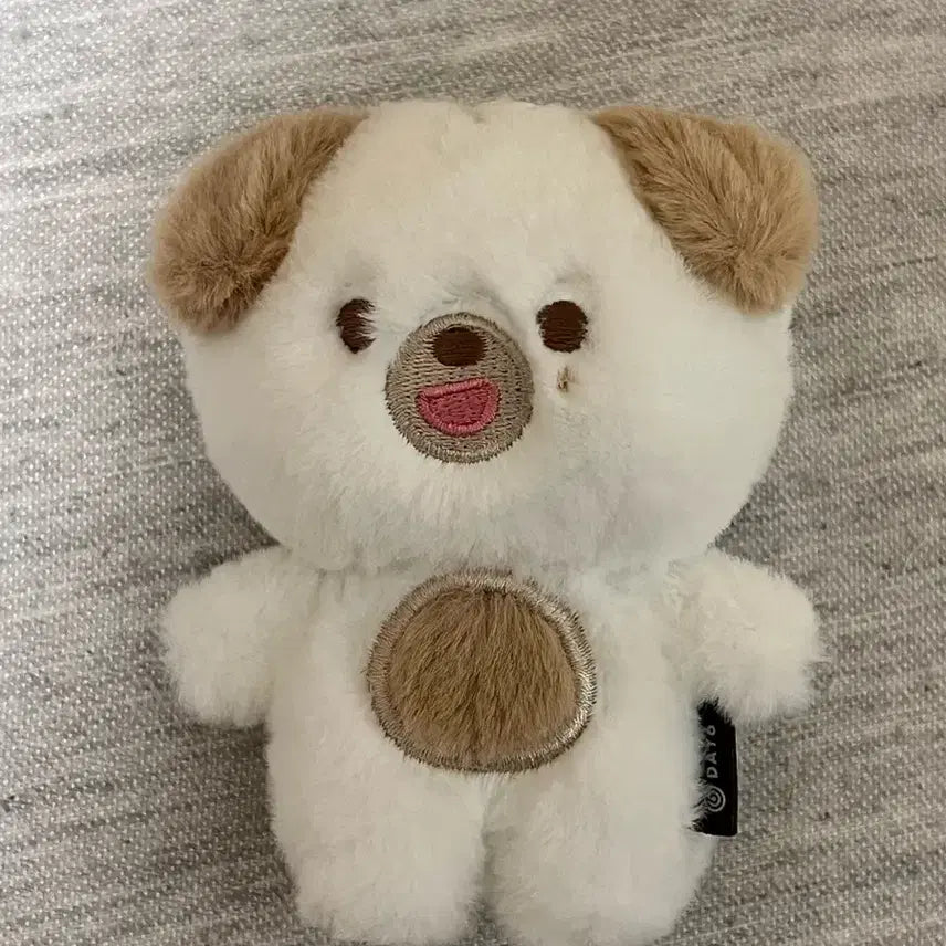 데이식스 데니멀즈 쁘띠멀즈 쁘멀 도운 돈 (2024 ver)