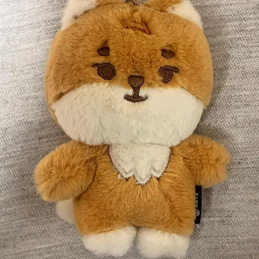 데이식스 데니멀즈 쁘띠멀즈 쁘멀 영케이 케둥 (2024 ver)