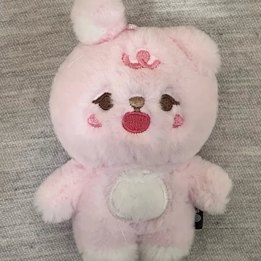 데이식스 데니멀즈 쁘띠멀즈 쁘멀 원필 필끼 (2024 ver)