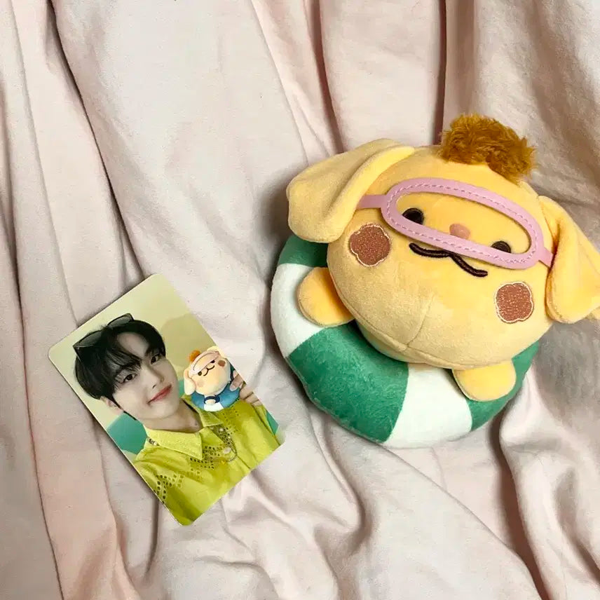 크크루 터리 크래비티 송형준 인형