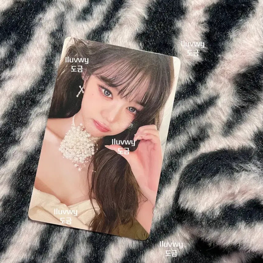 최저가 분철) 아이브 장원영 시크릿 일본 회장한정 포카 양도합니다