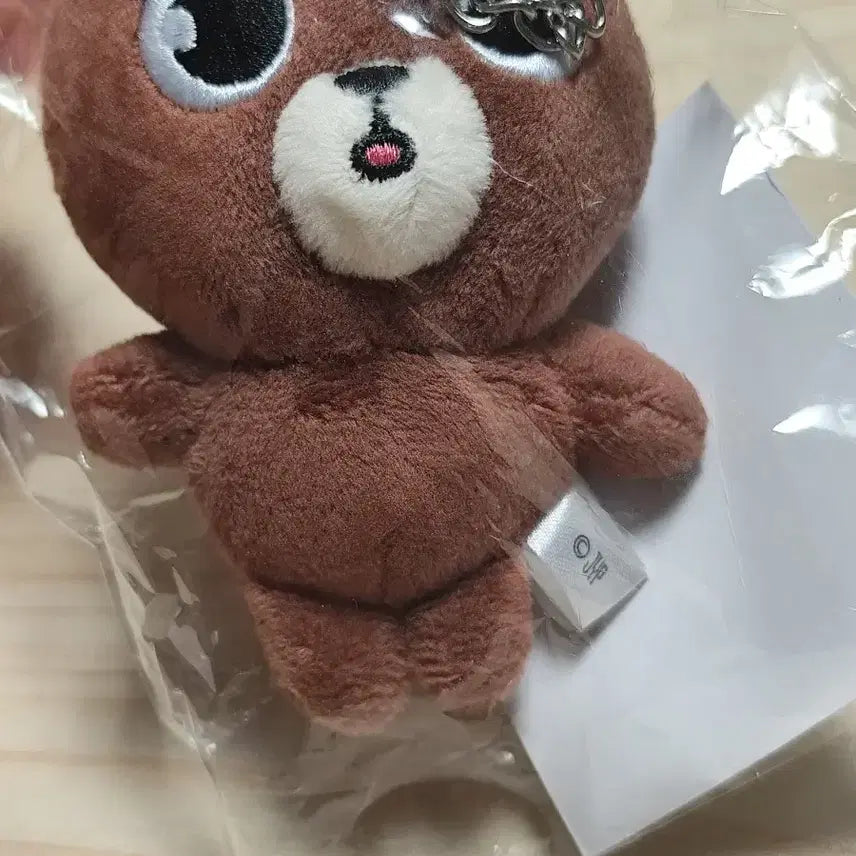 데이식스 데니멀즈 일본 백참 방 미개봉