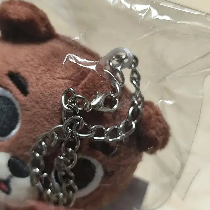 데이식스 데니멀즈 일본 백참 방 미개봉