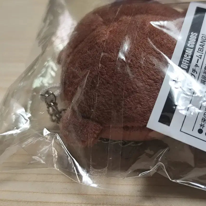 데이식스 데니멀즈 일본 백참 방 미개봉