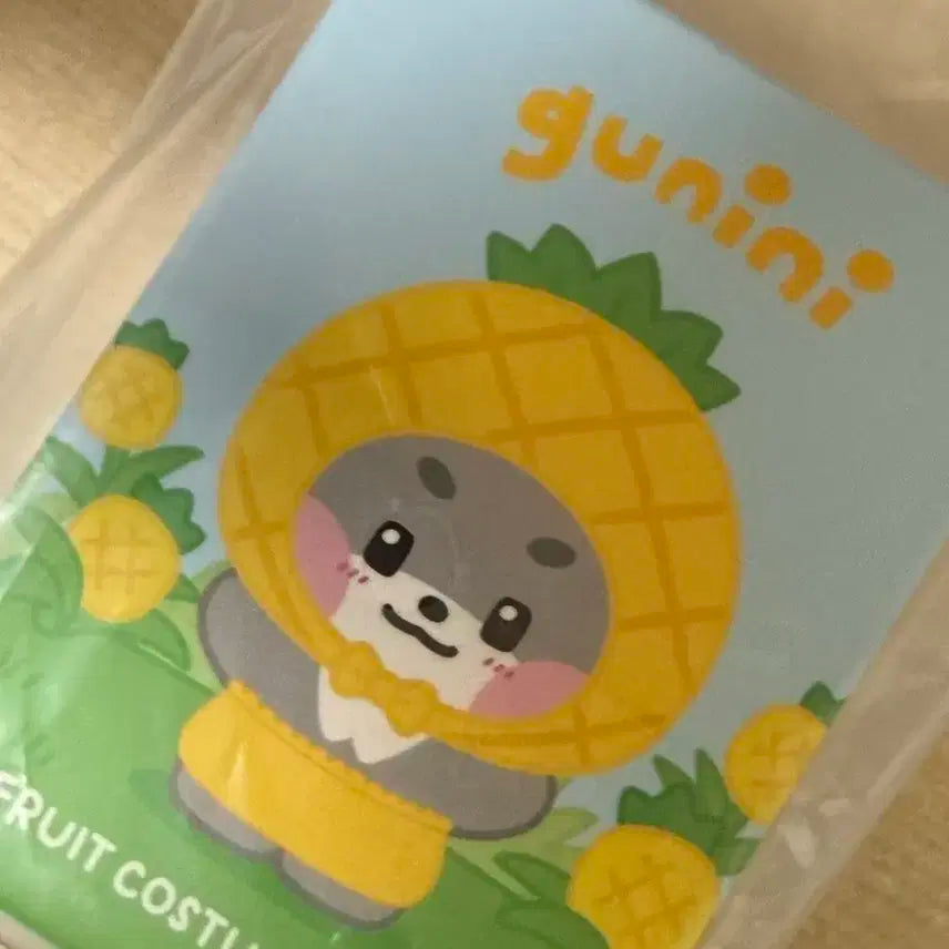 제베원 박건욱 거니니 피규어 양도