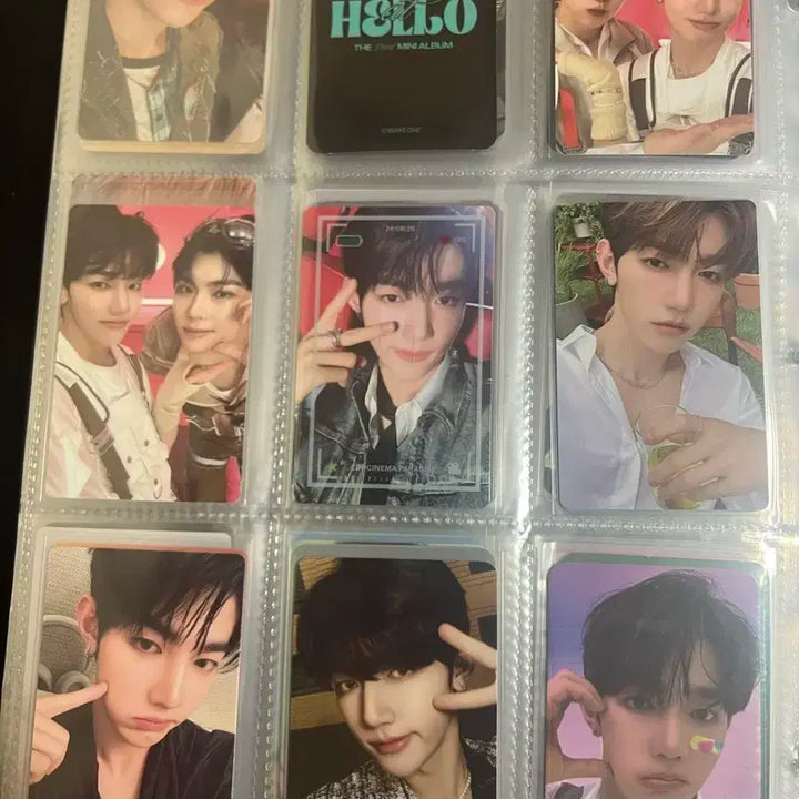 장하오 포카 일괄 판매