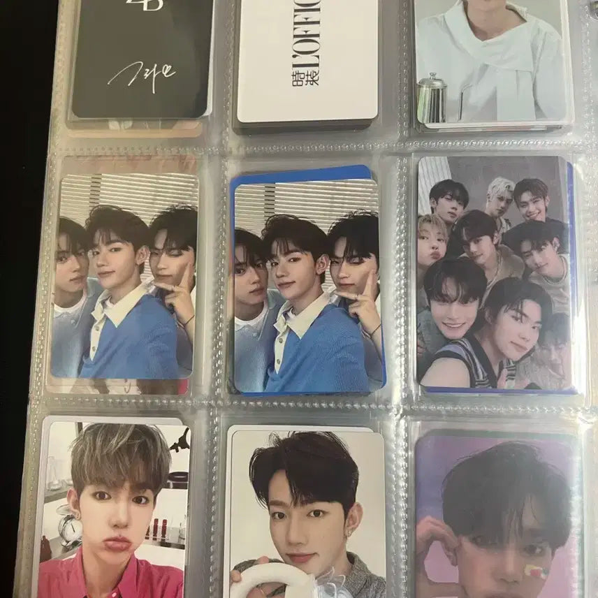 장하오 포카 일괄 판매