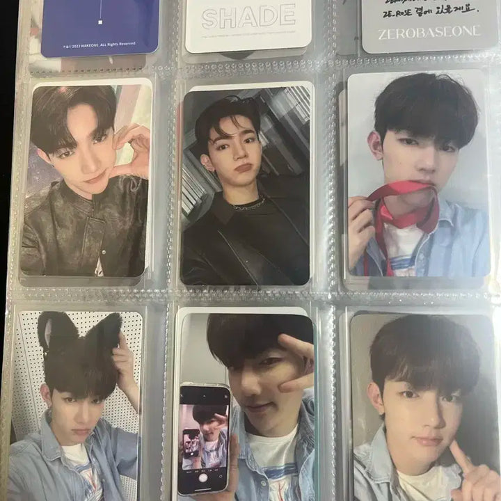 장하오 포카 일괄 판매