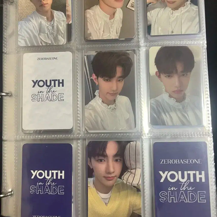 장하오 포카 일괄 판매