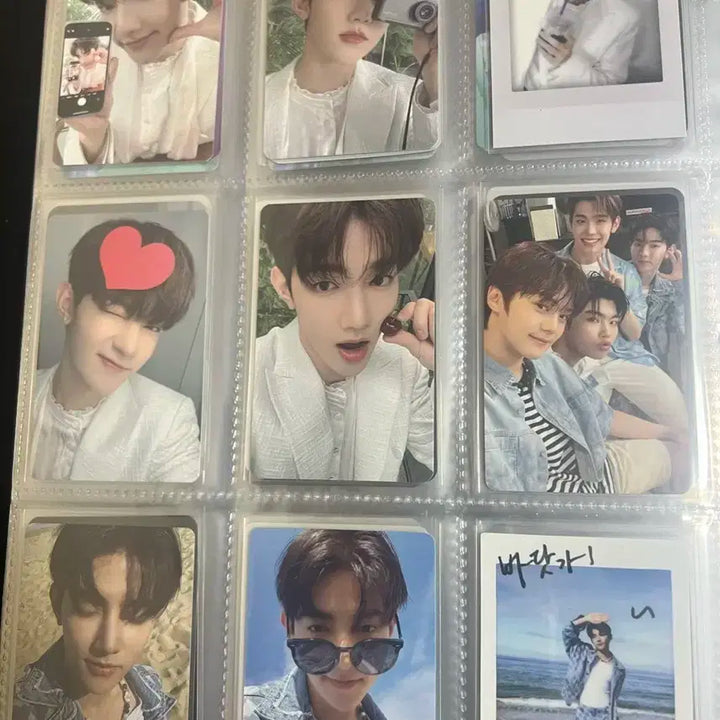 장하오 포카 일괄 판매