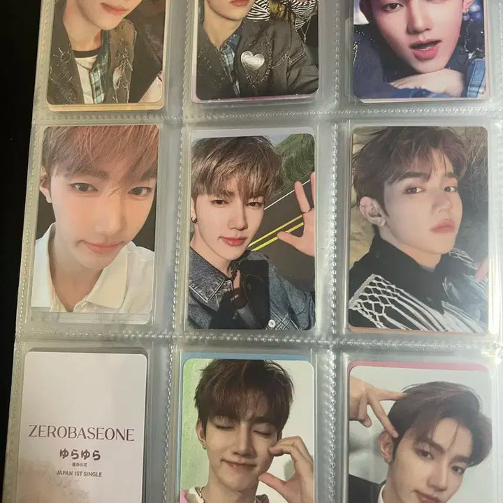 장하오 포카 일괄 판매