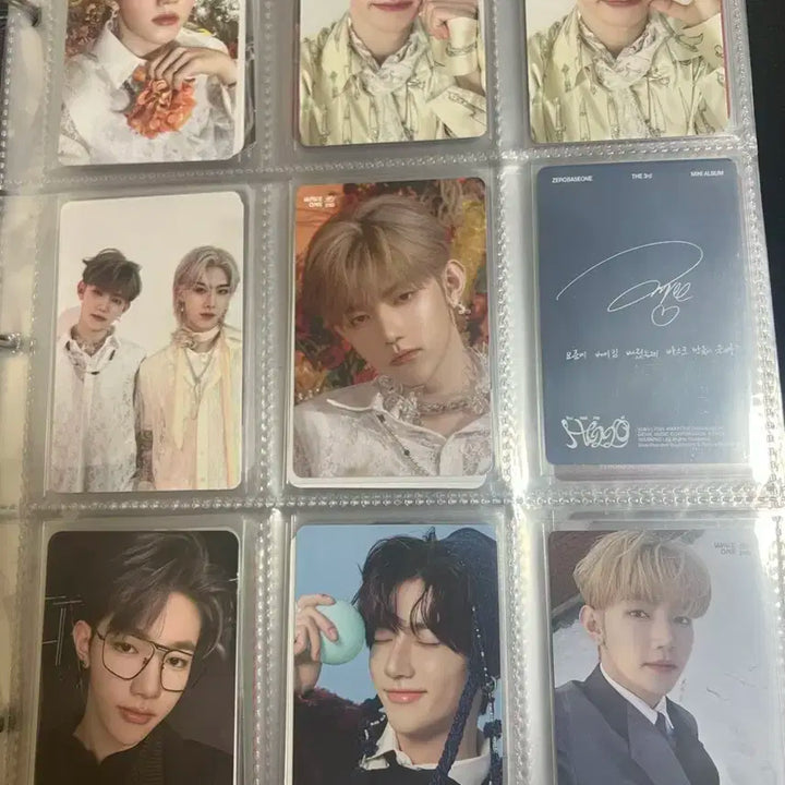 장하오 포카 일괄 판매